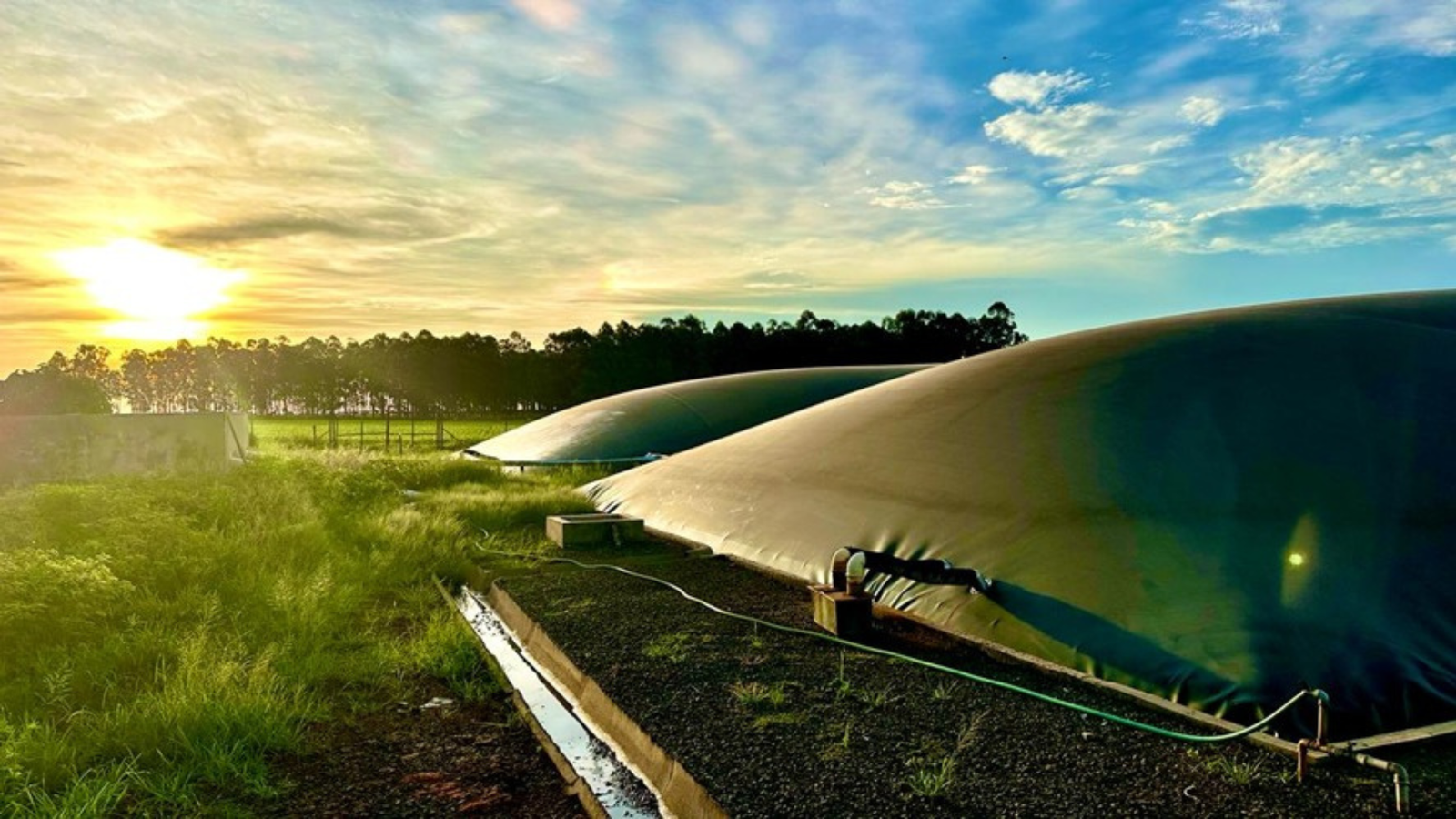 Biodigestão e biometano